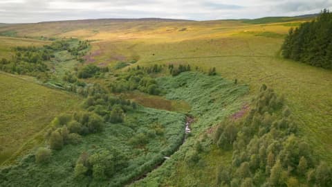 A company bought 7,500 acres of England for £8.5 million to create ‘Britain’s Yellowstone'