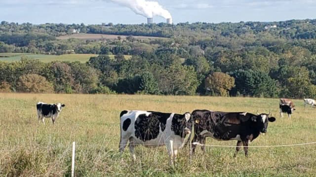 A Pennsylvania couple preserves 78.3 acres, helping eliminate plans for 88 homes and 21 condos