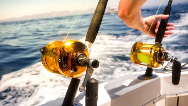 Southern Cal. anglers are catching unusually large & rare fish