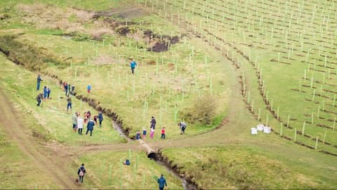 In 2021, a North Yorkshire estate began restoring 2,500 acres of farmed land; four years later...