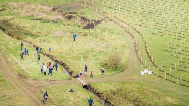 In 2021, a North Yorkshire estate began restoring 2,500 acres of farmed land; four years later...