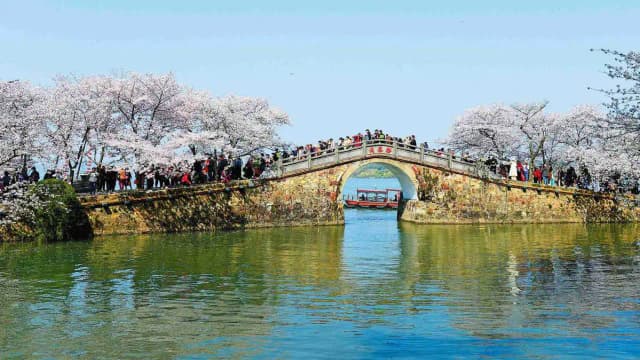 China tested nanobubbles across a 3,300-square-metre section of Taihu Lake; within 20 days...