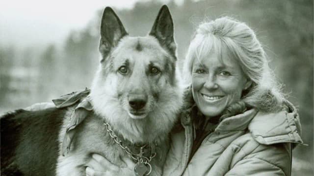 She built a 12-by-12-foot cabin with no electricity or road: The woman who chose to live alone in the Adirondack wilderness