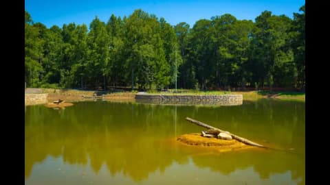 Georgia's 1950s farm pond gets $3.1 million makeover after decades of leaks and sediment