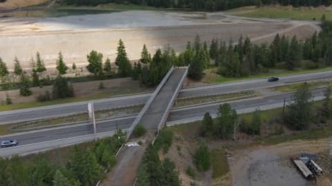 Abandoned Idaho bridge gets a second life as wildlife crossing