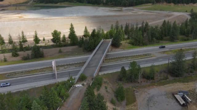 Abandoned Idaho bridge gets a second life as wildlife crossing