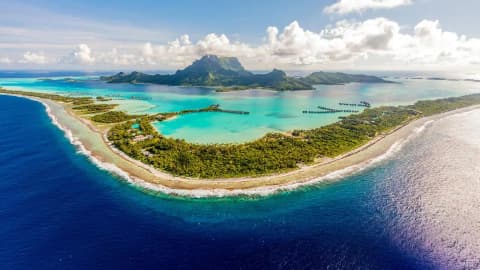 After countless hours searching for rare seahorses in French Polynesia, a photographer captured...