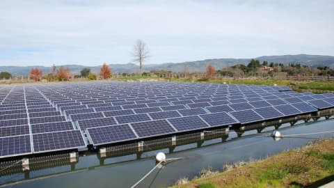 A 27-year-old Tennessee diesel mechanic wanted to farm full-time; solar sites gave his sheep...