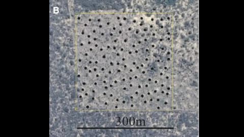 Brazil’s 200 million termite mounds have formed over 4,000 years from soil termites dug up