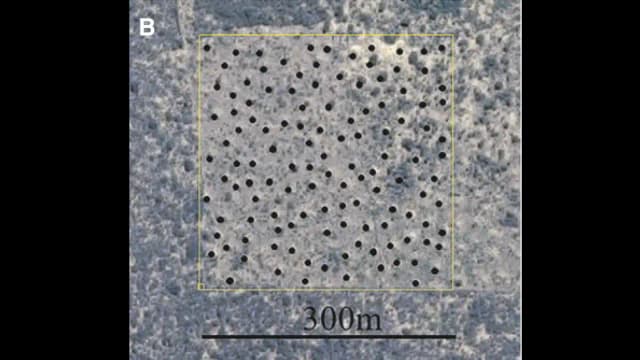 Brazil’s 200 million termite mounds have formed over 4,000 years from soil termites dug up
