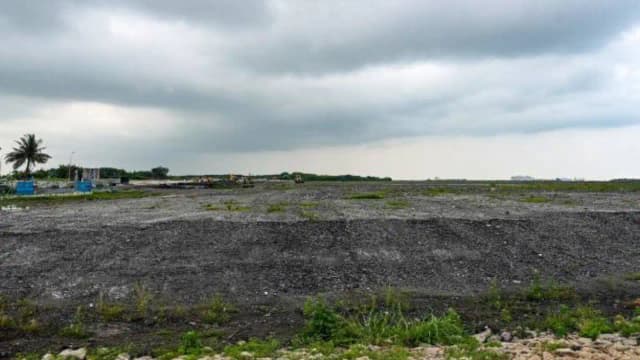 How Singapore turned garbage ash into a 350-hectare island where mangroves and coral now flourish