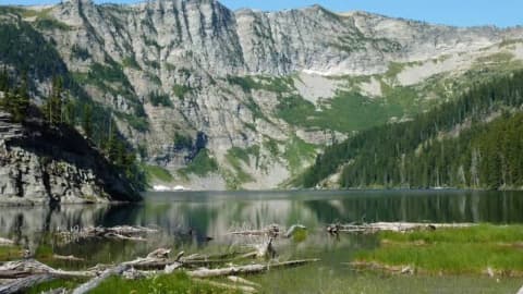 Second Phase Of Easement: Montana pursues $17.1mn timberland deal; public can weigh in by September 26