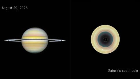 Former Australian miner spotted Saturn ripple in 2024; two years later, co-authored 10-sided wave