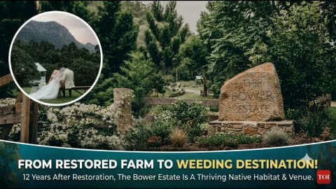 Where forest weddings help restore 120 acres of habitat