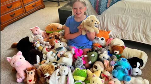 12-year-old rescued 114 thrift-store stuffed toys, repaired each by hand and gave them to fire victims