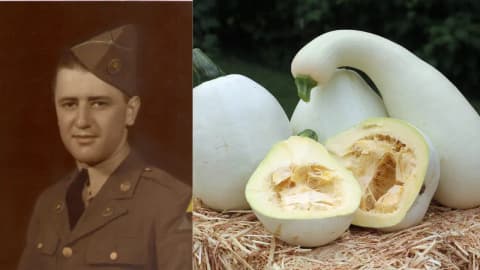Pennsylvania teacher preserved his white pumpkin for nearly 40 years; gardeners now grow it too