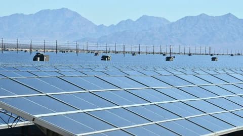 Belgian quarry uses solar panels and sheep in a project to produce clean power