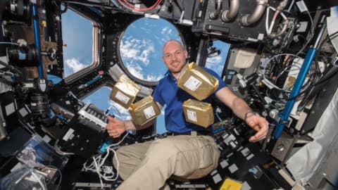 NASA sent 12.5M tomato seeds to space in 1984; by 1990, 40,000 schools in 40 countries grew them