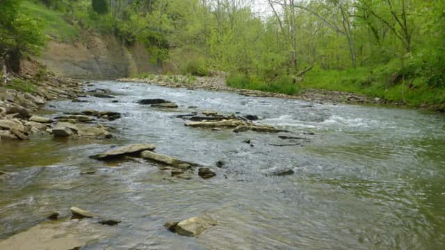 Kentucky woman turned 45 acres into a nature preserve; sewer project now takes seven easements