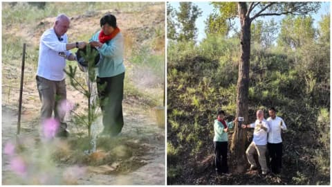 Pennsylvania teacher’s $5,000 donation helps turn China’s Maowusu desert into a forest of 50,000 trees