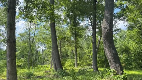 Pennsylvania Farm Conservation Easement: Becks protect 30-acre Bucks County farm; corridor aids at-risk wildlife