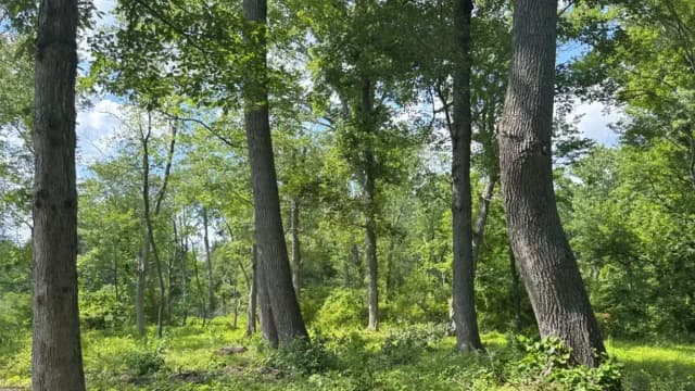 Pennsylvania Farm Conservation Easement: Becks protect 30-acre Bucks County farm; corridor aids at-risk wildlife