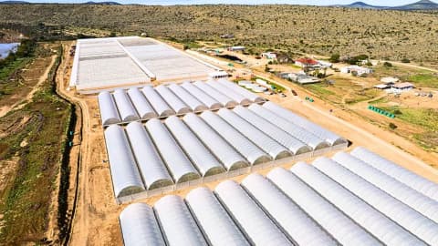 South Africa’s Eastern Cape to plant 180 million spekbooms to create 11,000 jobs