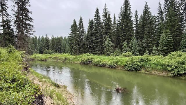 In 2003, Sean and Melodye Rooney bought Montana land; 23 years later, their 57 acres were protected
