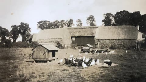 An Essex family set aside its entire farm roughly 30 years ago; after farming resumed in 2014