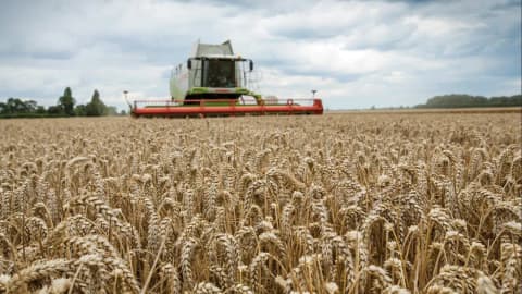 In 2002, a 3.5km sea wall was breached in five places at a 283-hectare Essex arable farm