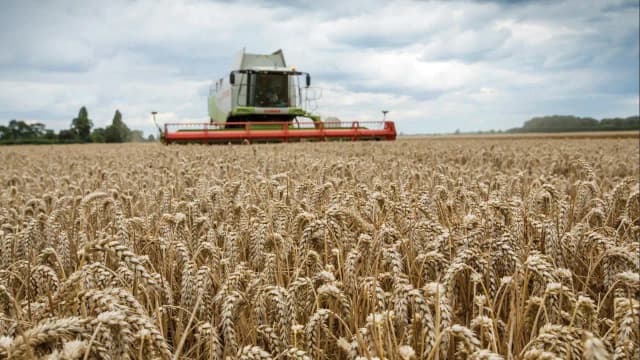 In 2002, a 3.5km sea wall was breached in five places at a 283-hectare Essex arable farm