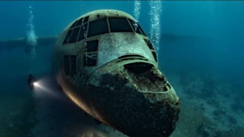 Jordan sank a retired military plane underwater in 2017; it now hosts fish, coral and marine life
