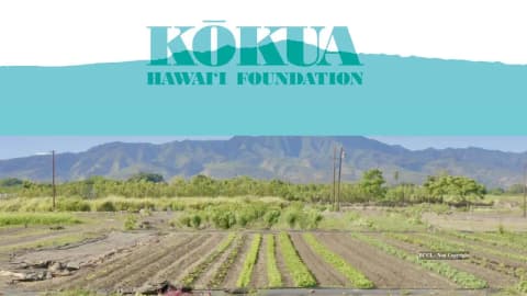 Jack Johnson’s foundation transformed neglected Hawaii farmland into a thriving farm for students