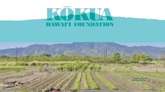 Jack Johnson’s foundation transformed neglected Hawaii farmland into a thriving farm for students