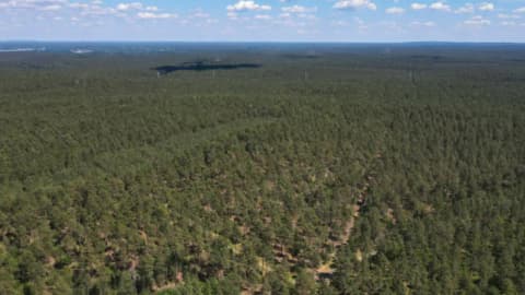North Carolina Family bought 600 acres in 1811; 214 years later, 298 acres protected from development