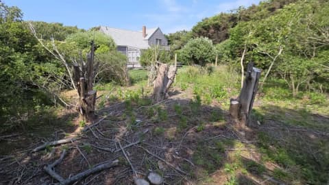 A Massachusetts couple won a $310k land dispute against their neighbour without using lawyers