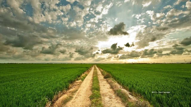 Illinois-Indiana farmer’s 1,500-acre land legacy sells for $22.46 million after his death