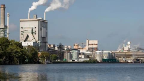 After 50+ years of pulp-mill pollution, regulators propose restoring North Carolina's Roanoke River