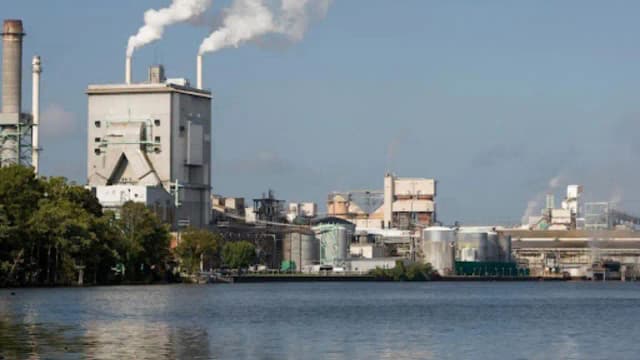 After 50+ years of pulp-mill pollution, regulators propose restoring North Carolina's Roanoke River