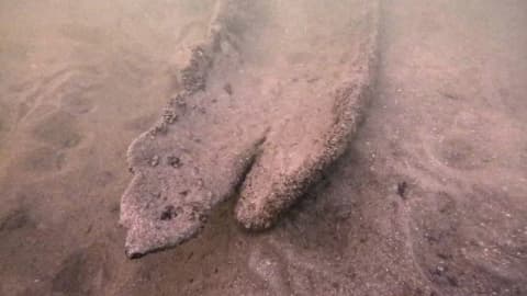 Wisconsin diver finds 17-foot canoe underwater, radiocarbon dating puts it at 1,000 years