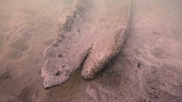 Wisconsin diver finds 17-foot canoe underwater, radiocarbon dating puts it at 1,000 years