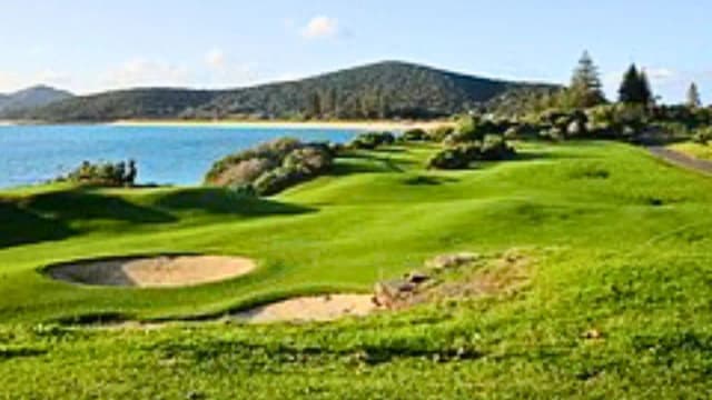 DNA reveals the origin of rats found on Lord Howe Island after eradication