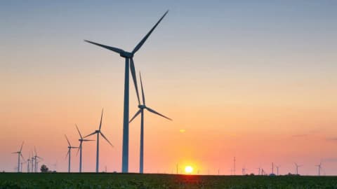 An Oregon farming couple had 13 wind turbines placed on their land; while crops continued around them
