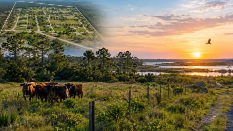 A Florida owner planned 52 homesites on his 625-acre ranch; county agrees to pay $7.8 million to stop development