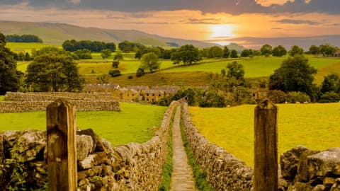 How farmers are helping reverse farmland wildlife decline