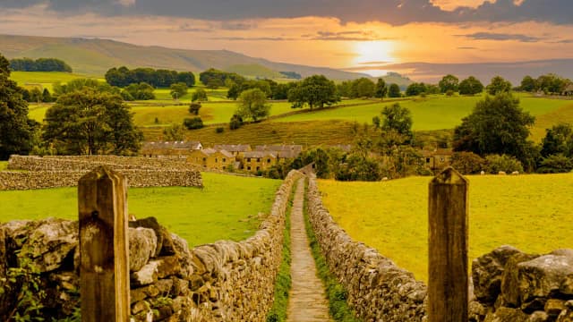 How farmers are helping reverse farmland wildlife decline