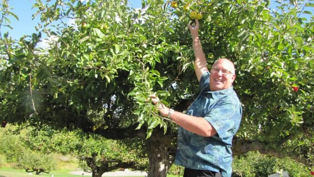 Retired FBI agent’s decade-long mission to rediscover 30 ‘lost’ apple varieties