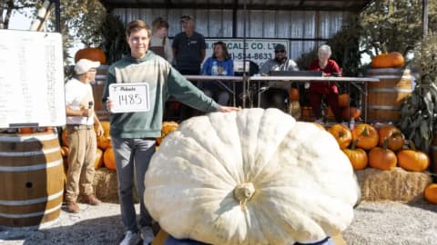 Kelowna grower Abbate’s giant pumpkin weighing 1,485 pounds, wins British Columbia’s 2026 contest
