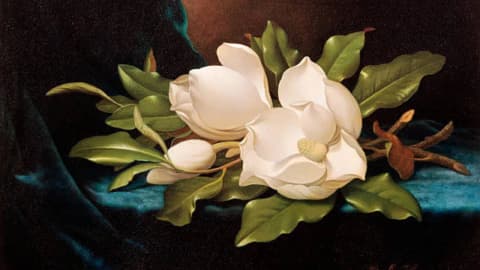 Wisconsin bargain hunter paid $29 for painting; later identified as Heade, sold for $882,500