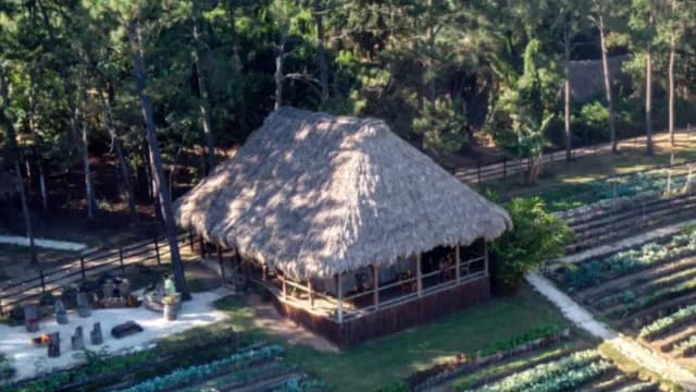 How Francis Ford Coppola turned an abandoned Belize hunting lodge into a 20-room resort